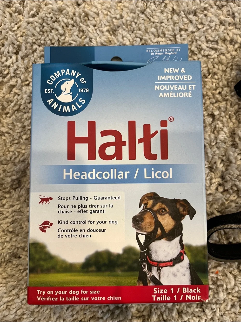 Black Headcollar - Head Collar for Dogs